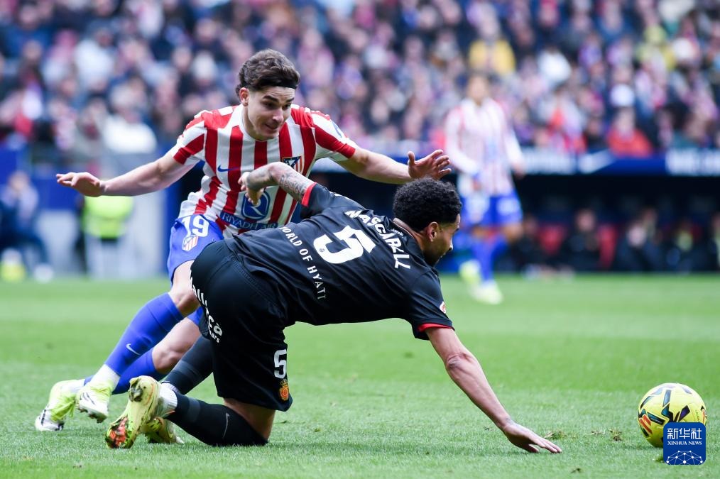 世界杯前大屠杀！ 300万只流浪狗 传摩洛哥虐杀！